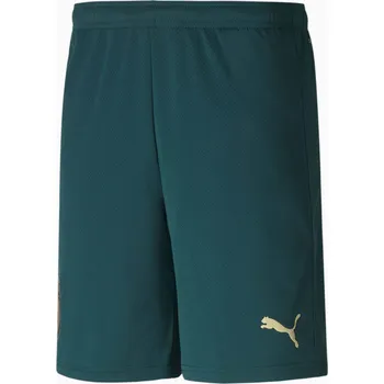 Pánské kraťasy Pánské kraťasy Puma Figc Trhird Shorts Replica Green M