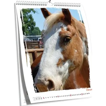 Fotokalendář Brilantní nástěnný kalendář NKN-11 (A3)