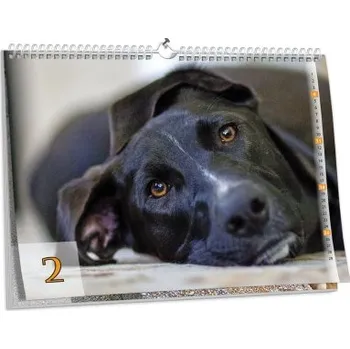 Fotokalendář Brilantní nástěnný fotokalendář NKN-76 (A5)