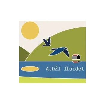 Zahraniční hudba Fluidet - Ajdži Sabo (CD)