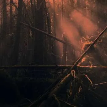 Zahraniční hudba 2LP Roly Porter: Kistvaen 2020