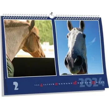 Fotokalendář Brilantní nástěnný kalendář NKN-19 (A3)