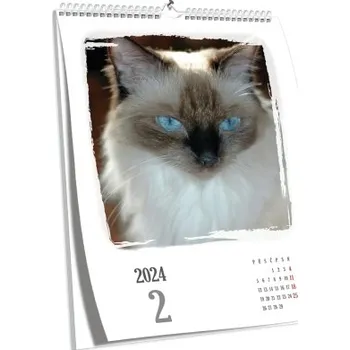 Fotokalendář Brilantní nástěnný fotokalendář NKN-102 (A3)