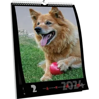 Fotokalendář Brilantní nástěnný fotokalendář NKN-112 (A3)