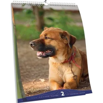 Fotokalendář Brilantní nástěnný kalendář NKN-51 (A5)