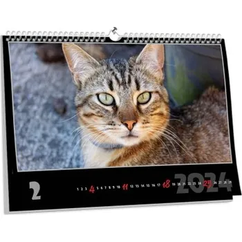 Fotokalendář Brilantní nástěnný kalendář NKN-24 (A3)