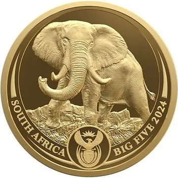 Zlatá mince Big Five III - Elephant (Slon) 1/4 Oz 2024 PROOF (1.)