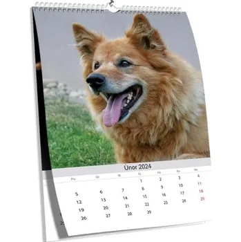 Fotokalendář Brilantní nástěnný kalendář NKN-61 (dříve NKZ-01) (A4)