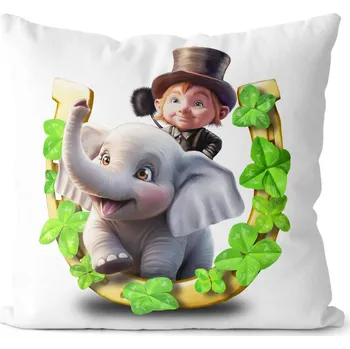 Dekorativní polštářek Polštář 40 x 40 cm - Maximum štěstí