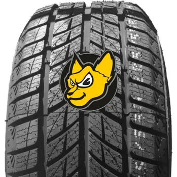 Zimní osobní pneu Doublestar DW09 Winterking 245/45 R18 96T M+S