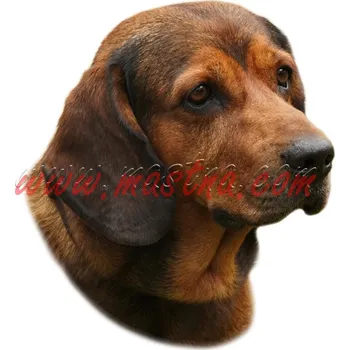 Polep vozidla Samolepka braka, brakýř alpský jezevčíkovitý 548