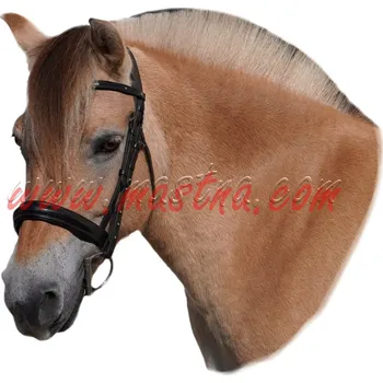 Samolepka fjordský kůň, koně, fjordling