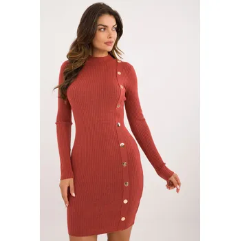 Dámské šaty Dámské džersejové úpletové šaty s rolákem a knoflíky, S/M i240_200186_2:S/M