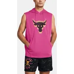 Pánská mikina Under Armour Pjt Q2 Payoff SL Flce HD L sportovní mikina