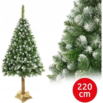 Vánoční stromek Vánoční stromek na kmenu 220 cm borovice