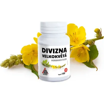 Přírodní produkt Valknut Divizna Velkokvětá Verbasci Flos 100% Čistý Prášek Z Květů Divizny 120 Kapslí