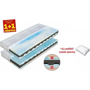 Matrace Dřevočal Nikola 85x195 1+1 AloeVera Doprava ZDARMA.