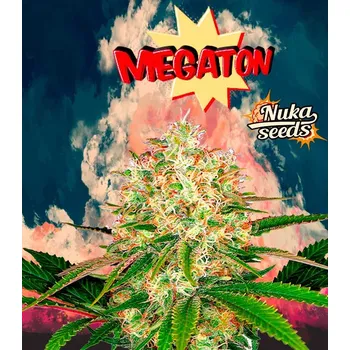 Semeno Nuka Seeds MEGATON Počet ks Feminizované: 15