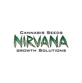 Semeno Nirvana Seeds Misty Kush Počet ks Regular: 10