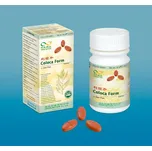 TCM Herbs Kameny z údolí Šaolin 100 tbl.