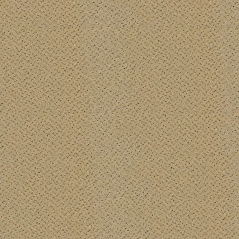 Koberec Metrážový koberec Fortesse SDE New 138, zátěžový, na míru, šíře 4m, béžová, ab (mřížka), chodba / předsíň, Balta - 1 rok na vrácení + DOPRAVA ZDARMA k Vám i zpět