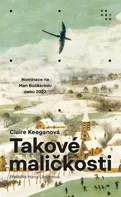 Takové maličkosti - Claire Keeganová (2023) [E-kniha]