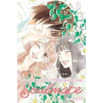 Komiks pro dospělé Kimi ni Todoke: From Me to You: Soulmate, Vol. 3