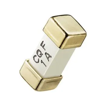 pojistka Neresetovatelná pojistka 100mA F RS PRO 125V