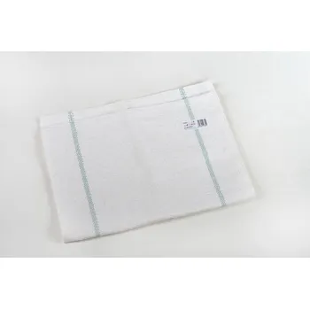 Podlahový mycí stroj Hadr 70x50cm tk.bílý podlahový(LOGO)