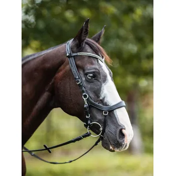 Sedlářská výroba Uzdečka Ornela s čelenkou do V Velikost: COB