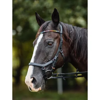 Sedlářská výroba Anatomicky tvarovaná uzdečka Rainbow Barva: černá, Velikost: COB