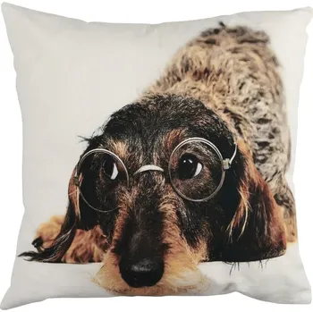 Dekorativní polštářek AKAH Polštářek jezevčík s brýlemi 50x50 cm