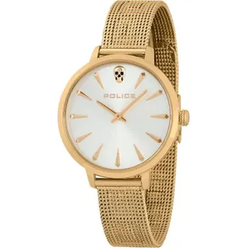Oblečení a móda Dámské hodinky Police PL16035MSG22M (Ø 36 mm)