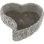 Morex X5975/2 srdce k osázení