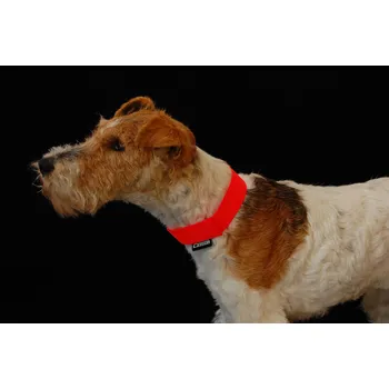 Obojek pro psa ZÁHOŘÍ Rudel Reflexní obojek - popruh suchý zip bez reflexní pásky Barva: Žlutá, Délka: 45 cm