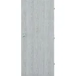 VILEN DOOR Interiérové dveře Ideal - Dub stříbrný LAK, 70/197 cm