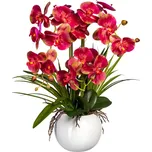 Gasper Umělá orchidej v keramickém…