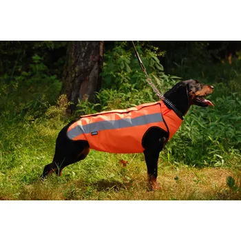 Obleček pro psa ZÁHOŘÍ Rudel Ochranná vesta pro psy oranžová M