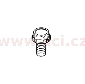 speciální šroub (sada 10 ks) 41175