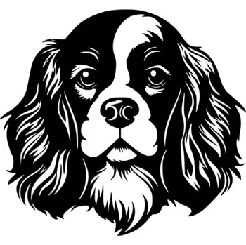 Samolepící dekorace Samolepka pes Kavalír king Charles španěl