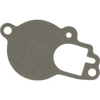 Auto-moto Těsnění karburátoru RMS 100709060