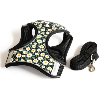 Postroj pro psa Kšíry s vodítkem Barva: Zelená, Velikost: S