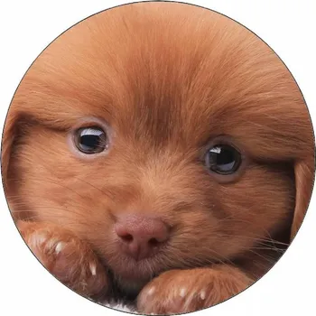 Jedlá dekorace na dort Jedlý papír štěně na polštáři 19,5 cm