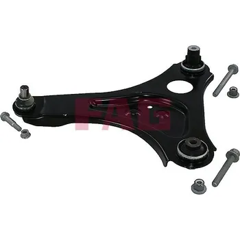 Zavěšení kol Řídicí páka, zavěšení kol Schaeffler FAG 821 1162 10