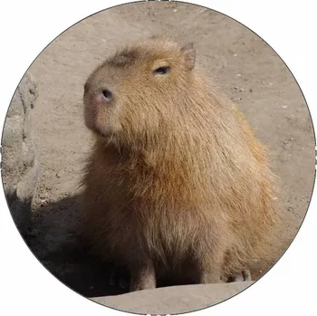 Jedlá dekorace na dort Jedlý papír kapybara 19,5 cm