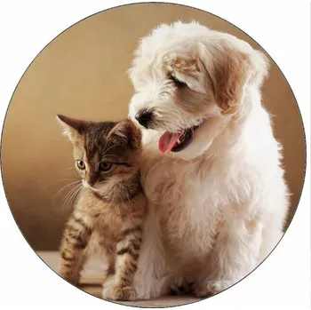 Jedlá dekorace na dort Jedlý papír kotě a štěně kamarádi 19,5 cm