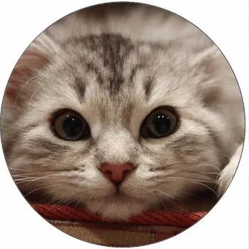 Jedlá dekorace na dort Jedlý papír ležící koťátko 19,5 cm