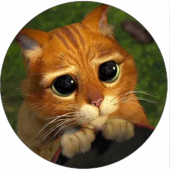 Jedlá dekorace na dort Jedlý papír Shrek kocour 19,5 cm