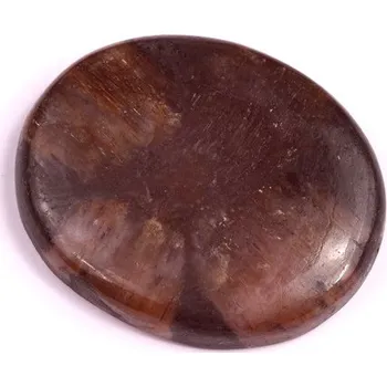 Přírodní kámen Kabošon Chiastolite Jasper č.1814 (33x27x6mm)
