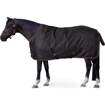 Deka pro koně Deka výběhová Horze Pegasus 200g 95cm černá